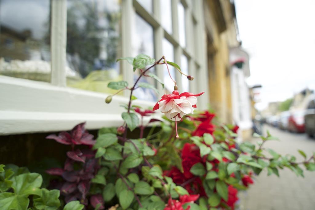 Badgers Hall Bed & Breakfast Chipping Campden Exterior photo